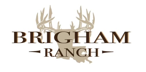 BRR-LOGO