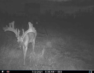 IMG-3605