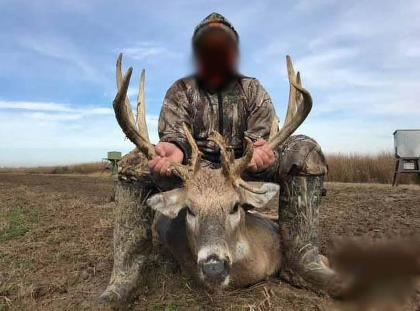 deer1