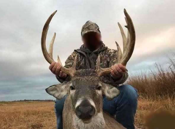 deer4